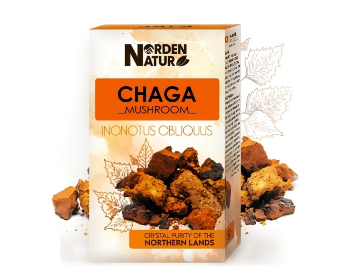 Birkenporling Chaga Schillerporling 4 x 50 g