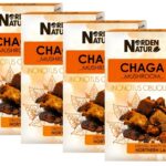 Birkenporling Chaga Schillerporling 4 x 50 g