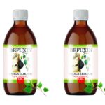 Befuxin Chaga Elixier Tinktur 2 x 120 ml