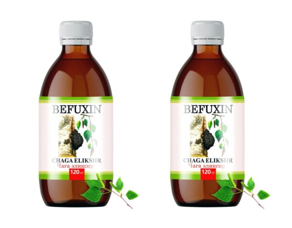 Befuxin Chaga Elixier Tinktur 2 x 120 ml