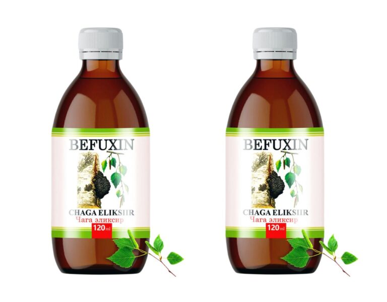 Befuxin Chaga Elixier Tinktur 2 x 120 ml