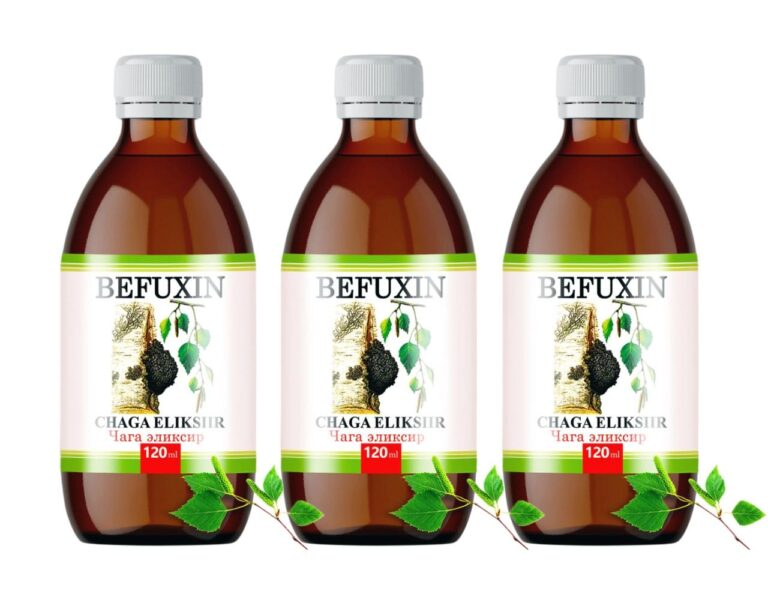 Befuxin Chaga Elixier Tinktur 3 x 120 ml
