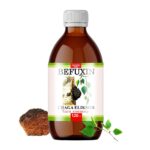 Befuxin Chaga Elixier Alkoholfrei Tinktur 120 ml