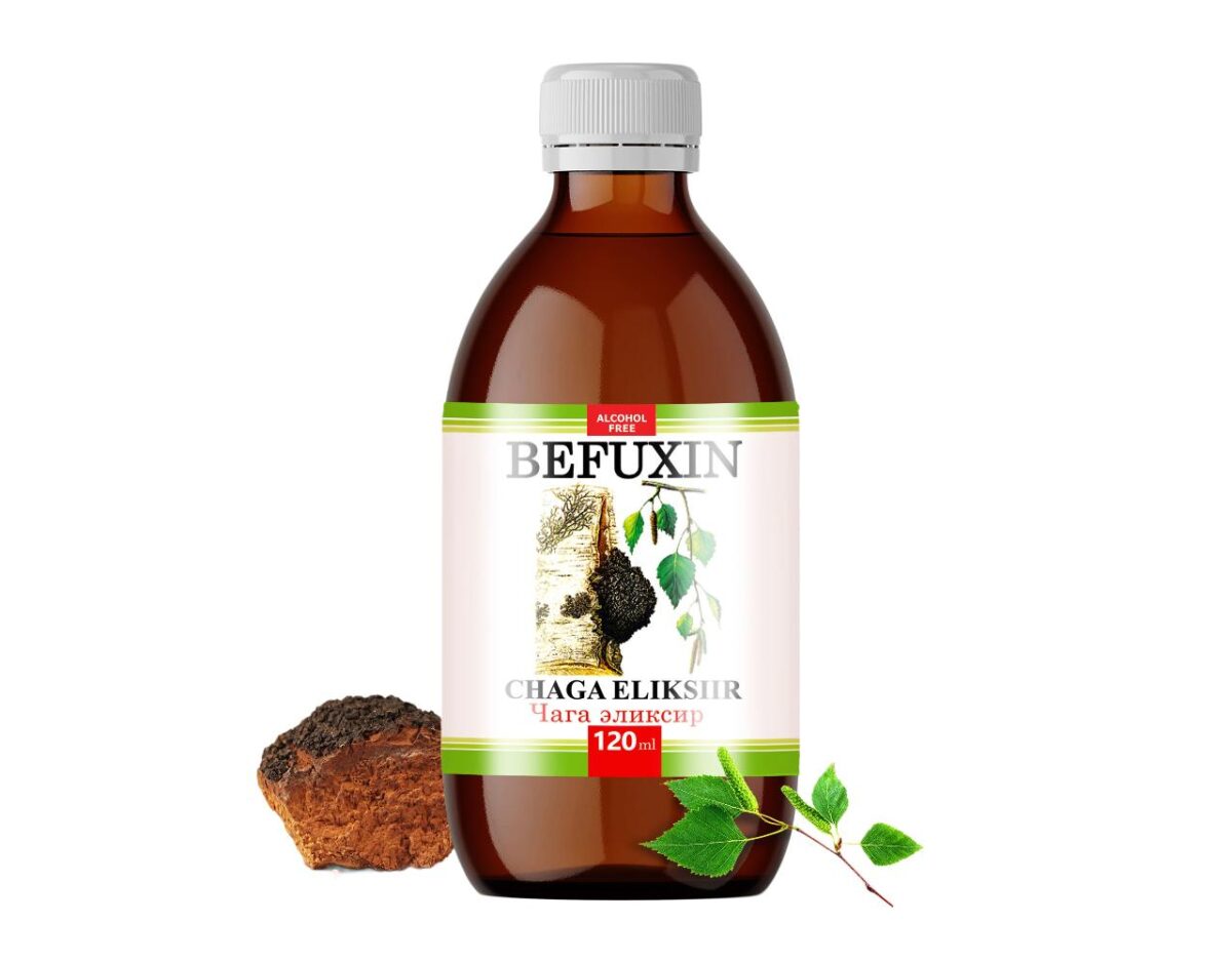 Befuxin Chaga Elixier Alkoholfrei Tinktur 120 ml