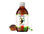 Befuxin Chaga Elixier Alkoholfrei Tinktur 2 x 120 ml