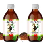 Befuxin Chaga Elixier Alkoholfrei Tinktur 2 x 120 ml