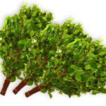 Birkenreisig für Sauna 3 St. ca. 55-60 cm Ernte Sommer 2025
