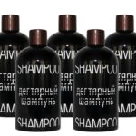 Birkenteer Haar Shampoo mit Panthenol, Vitamin E 5 x 330 ml