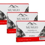 Mumijo Kirgistan Bergbalsam 3 x 60 Tabl