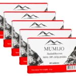 Mumijo Kirgistan Bergbalsam 5 x 60 Tabl