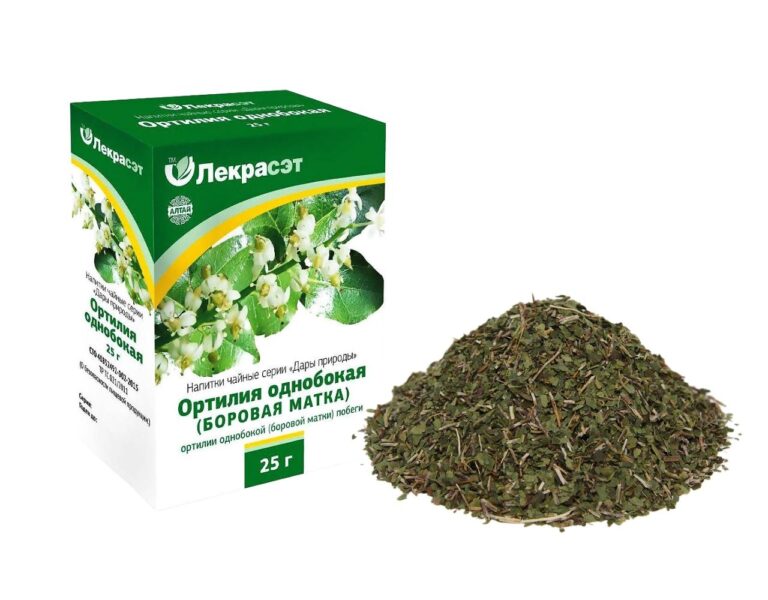 Birngrüngewächs Lekra-Sjet Orthilia secunda 4 x 25 g