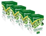 Birngrüngewächs Lekra-Sjet Orthilia secunda 4 x 25 g