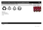 Ivan Tee fermentiert und granuliert Gorchakovsky 3 x 40 g