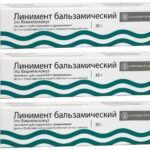 Vishnevsky Balsam Liniment Salbe Körpersalbe 3 x 30 g